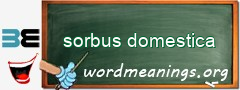 WordMeaning blackboard for sorbus domestica